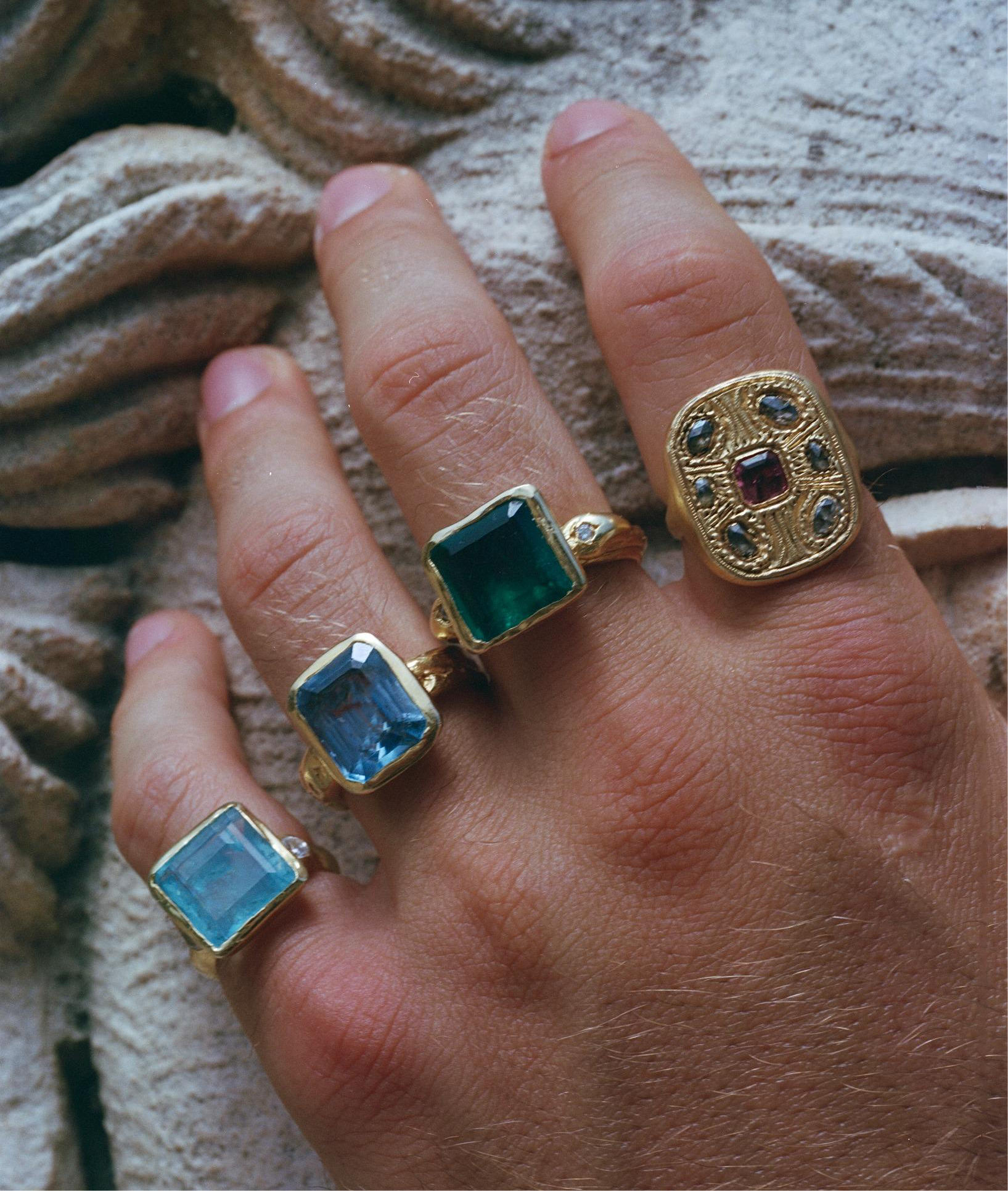 THE ARCTIC RING