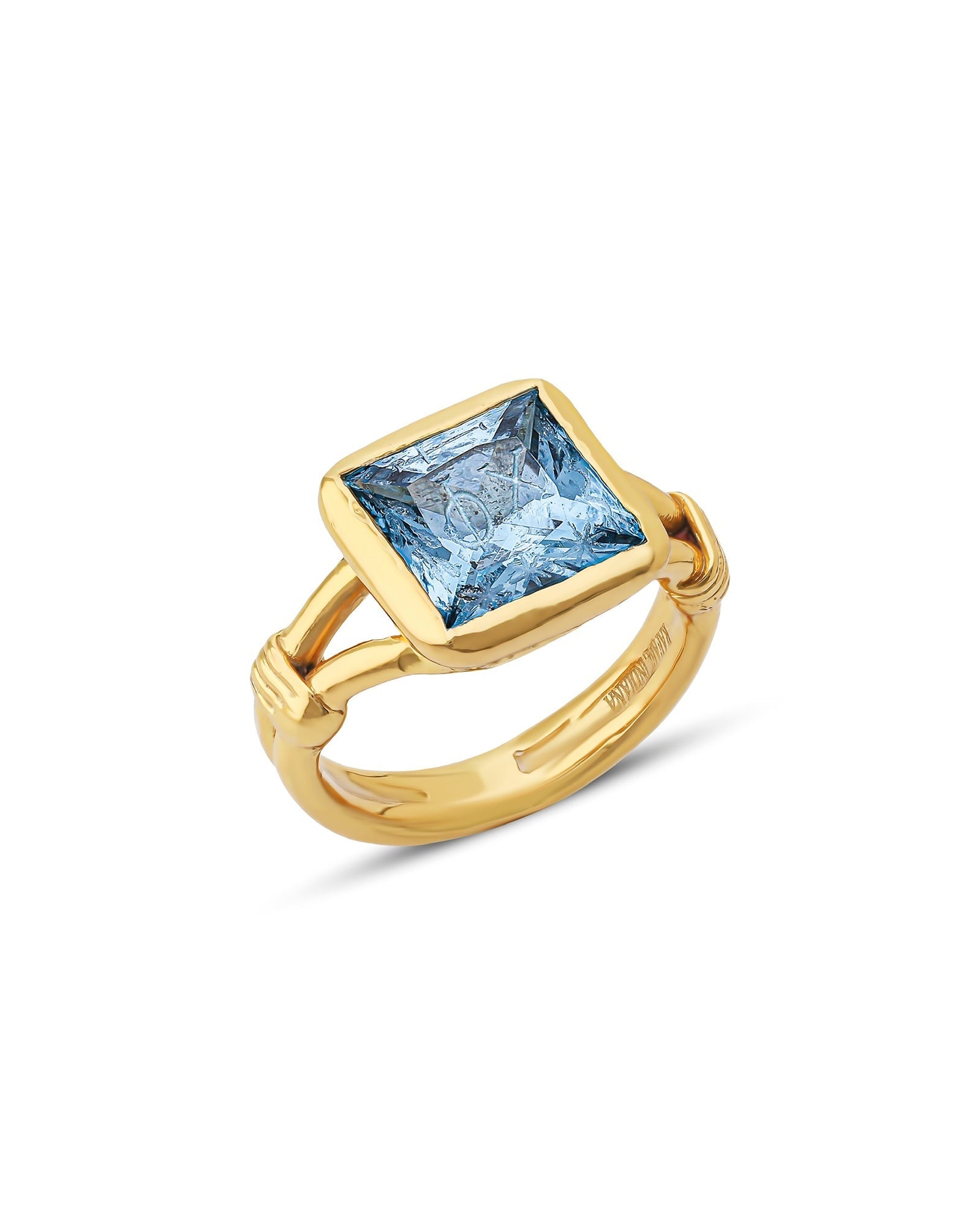 THE OMEGA RING