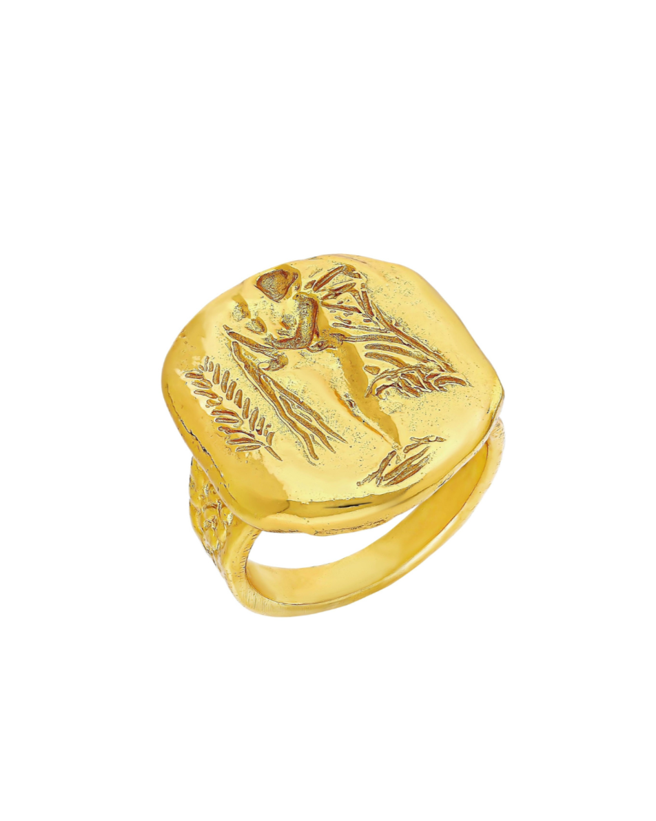 THE PRIMORDIAL RING
