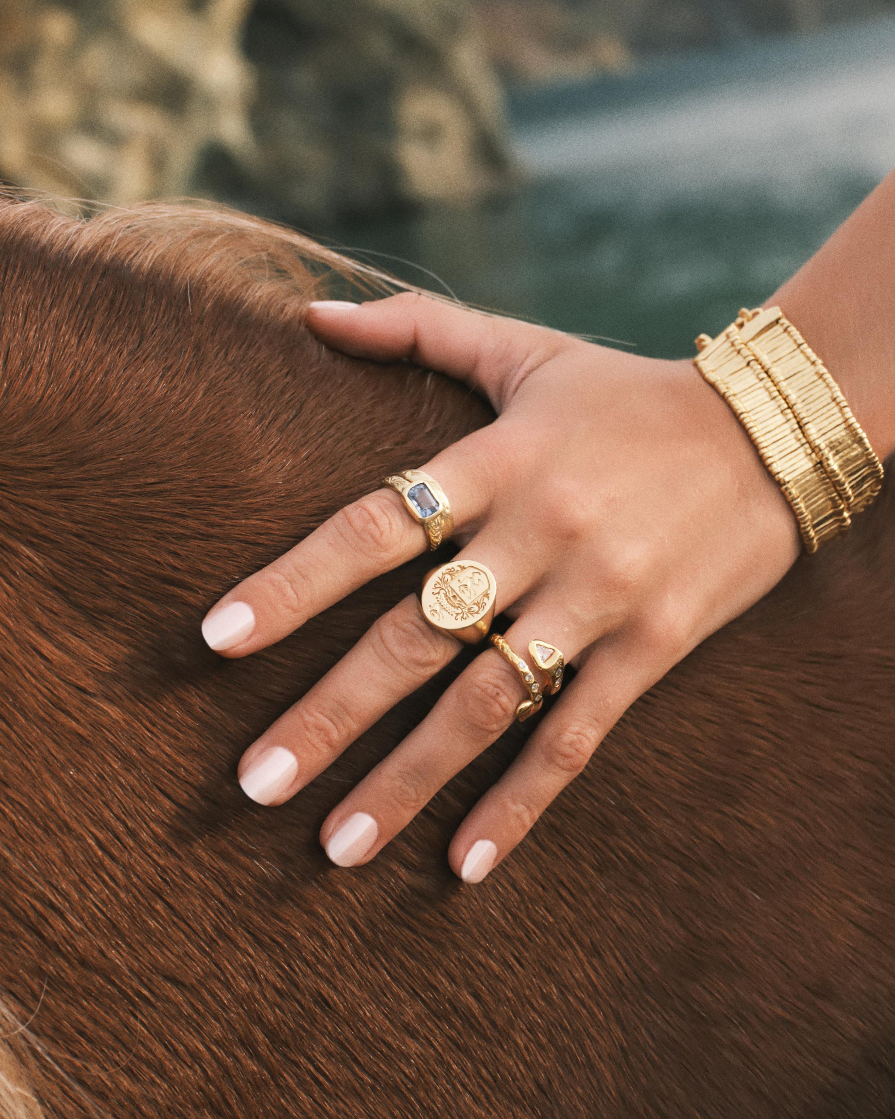 THE CHEVALIER SIGNET RING