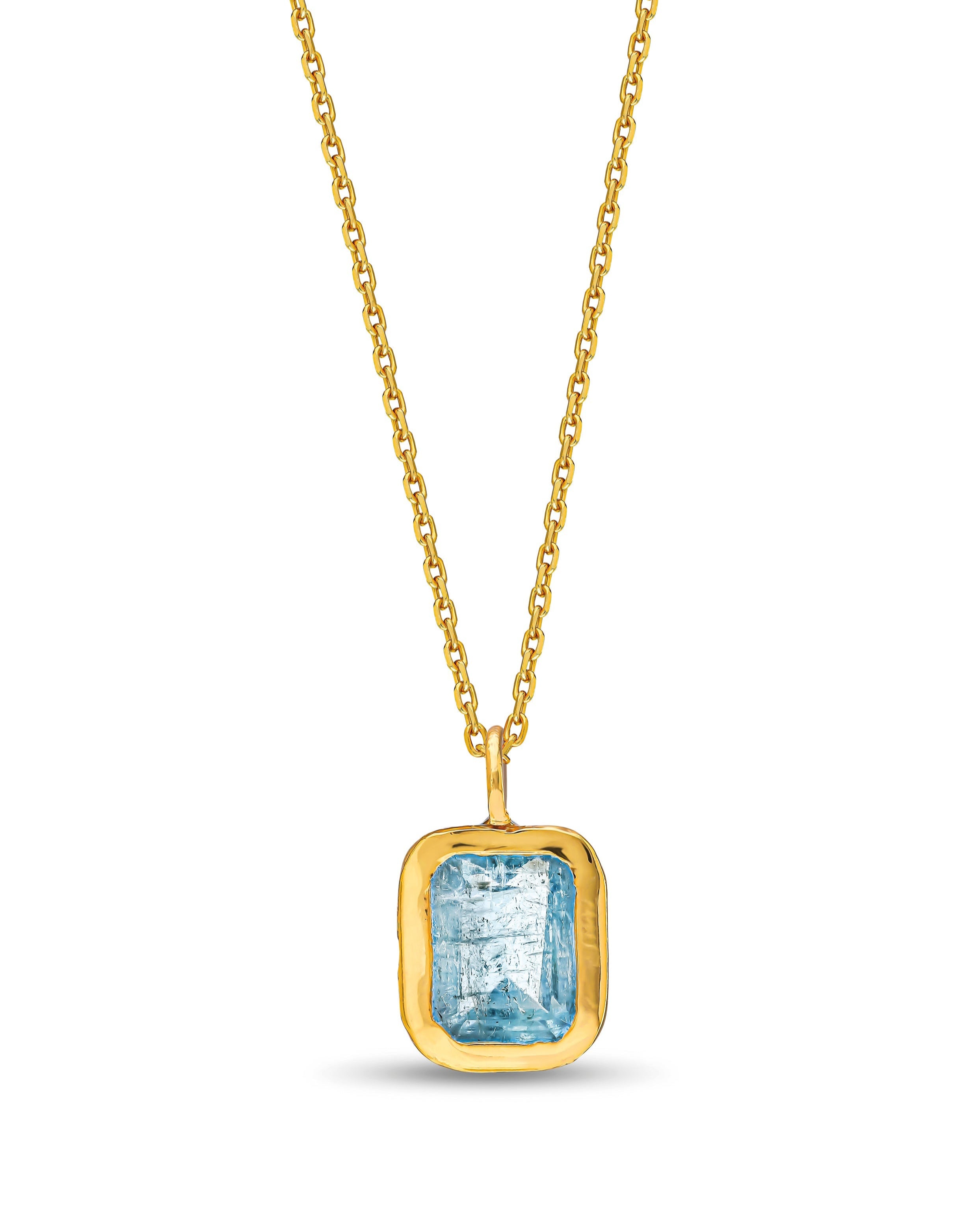 THE AQUARIUM CHARM