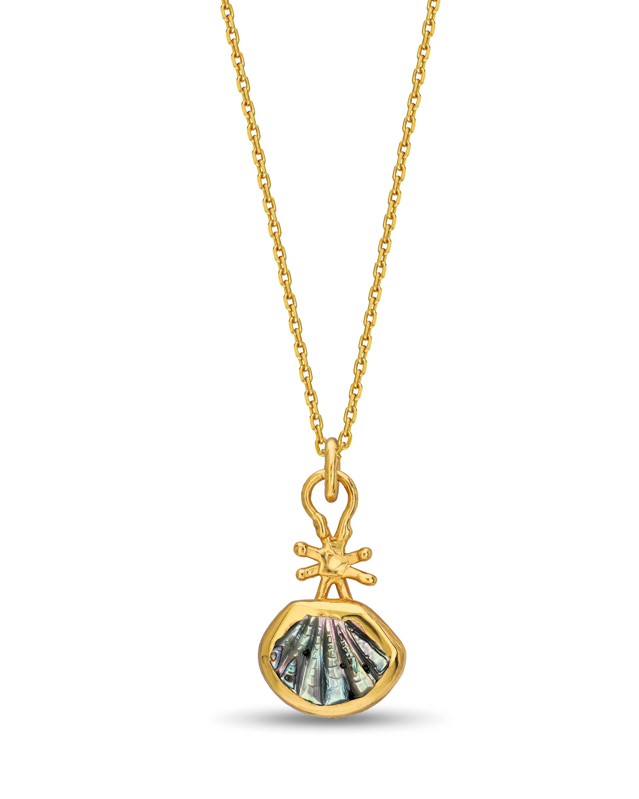 THE STAR SHELL NECKLACE